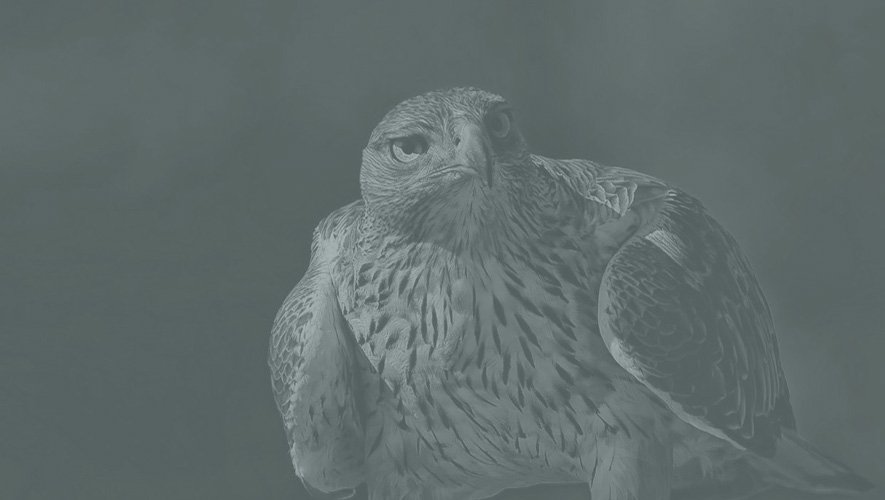 Un �cosyst�me fragile