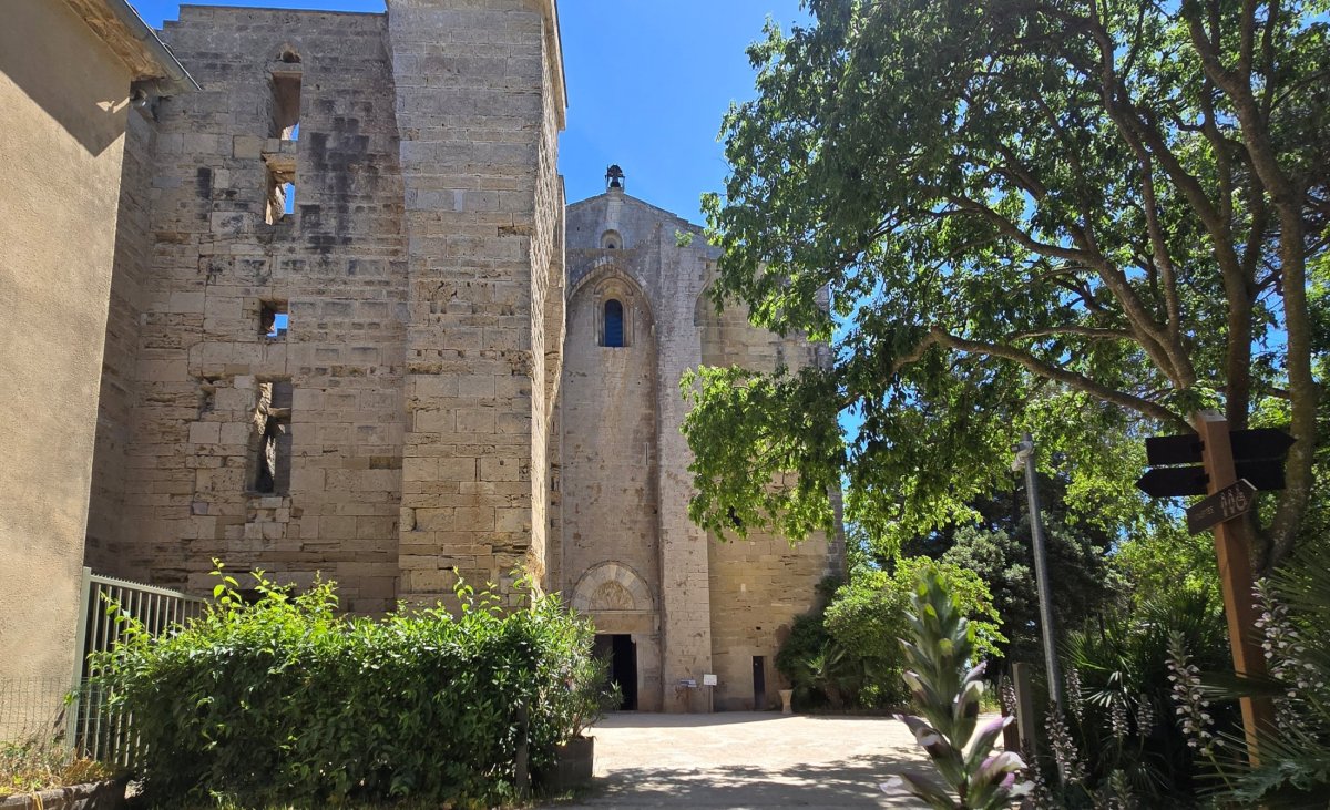 Ancienne cathdrale de Maguelone. Photo : Christophe Colrat