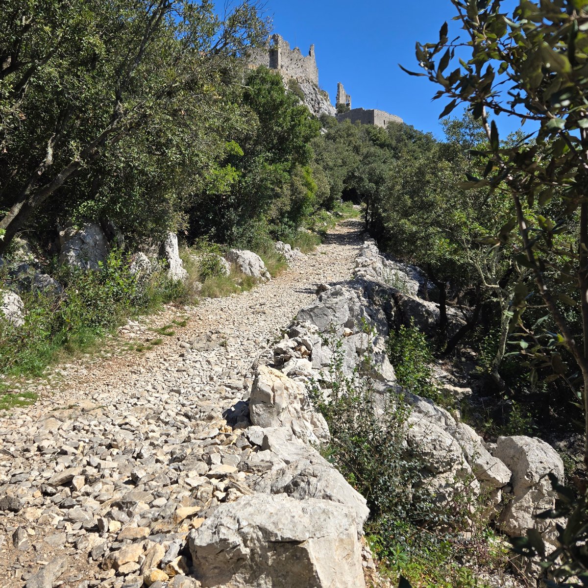 Dernire ligne droite du sentier aprs travaux