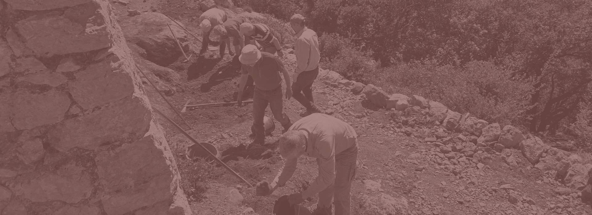 Nos partenaires